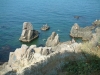 dscf0276