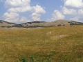 Montenegro 2013
