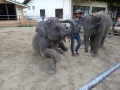 20121017-172114-KoChang-DSC01520