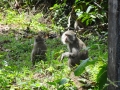 20121019-104155-KoChang-DSC01641