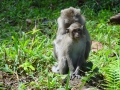 20121019-104528-KoChang-DSC01651