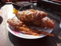 20121020-151613-Shorchling-DSC02073