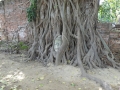 20121023-112707-Ayuthaya-DSC02506
