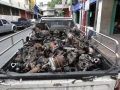 20121024-142915-Bangkok-DSC02695