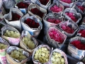 20121025-170254-Bangkok-DSC02996
